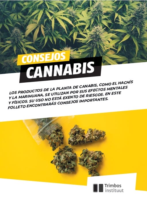 Tips Cannabis - Spaans (Bundel 50 stuks)