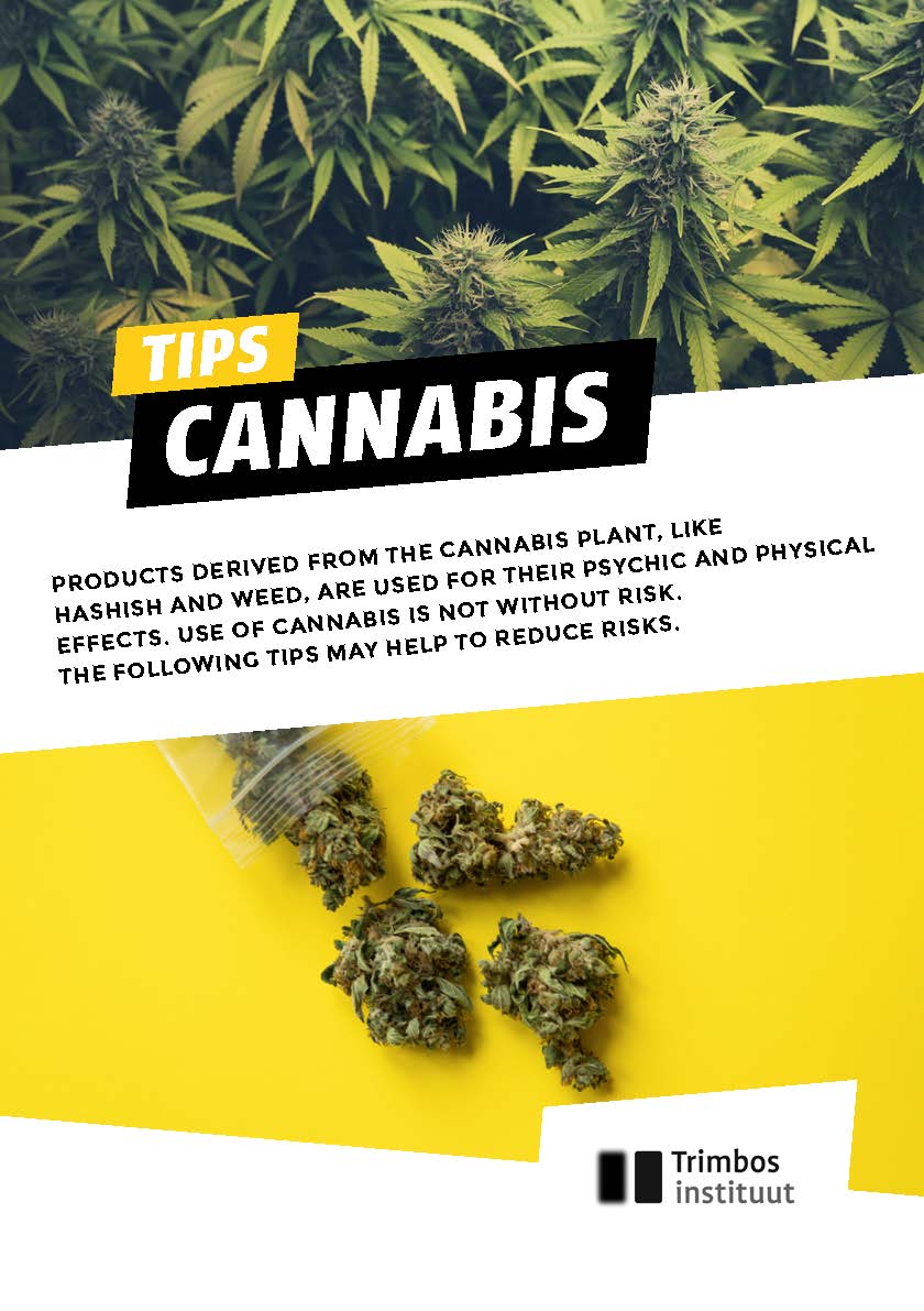 Tips Cannabis - Engels (Bundel 50 stuks)