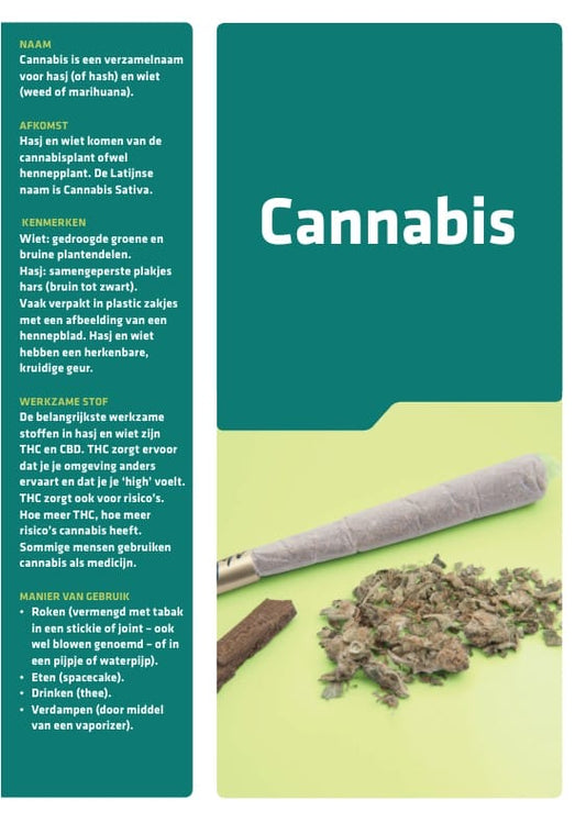 Folder Cannabis (bundel van 50 stuks)