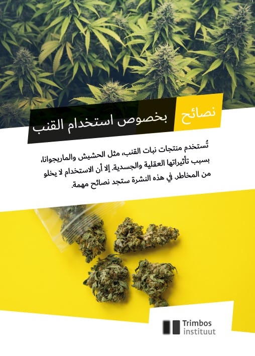 Tips Cannabis - Arabisch (Bundel 50 stuks)
