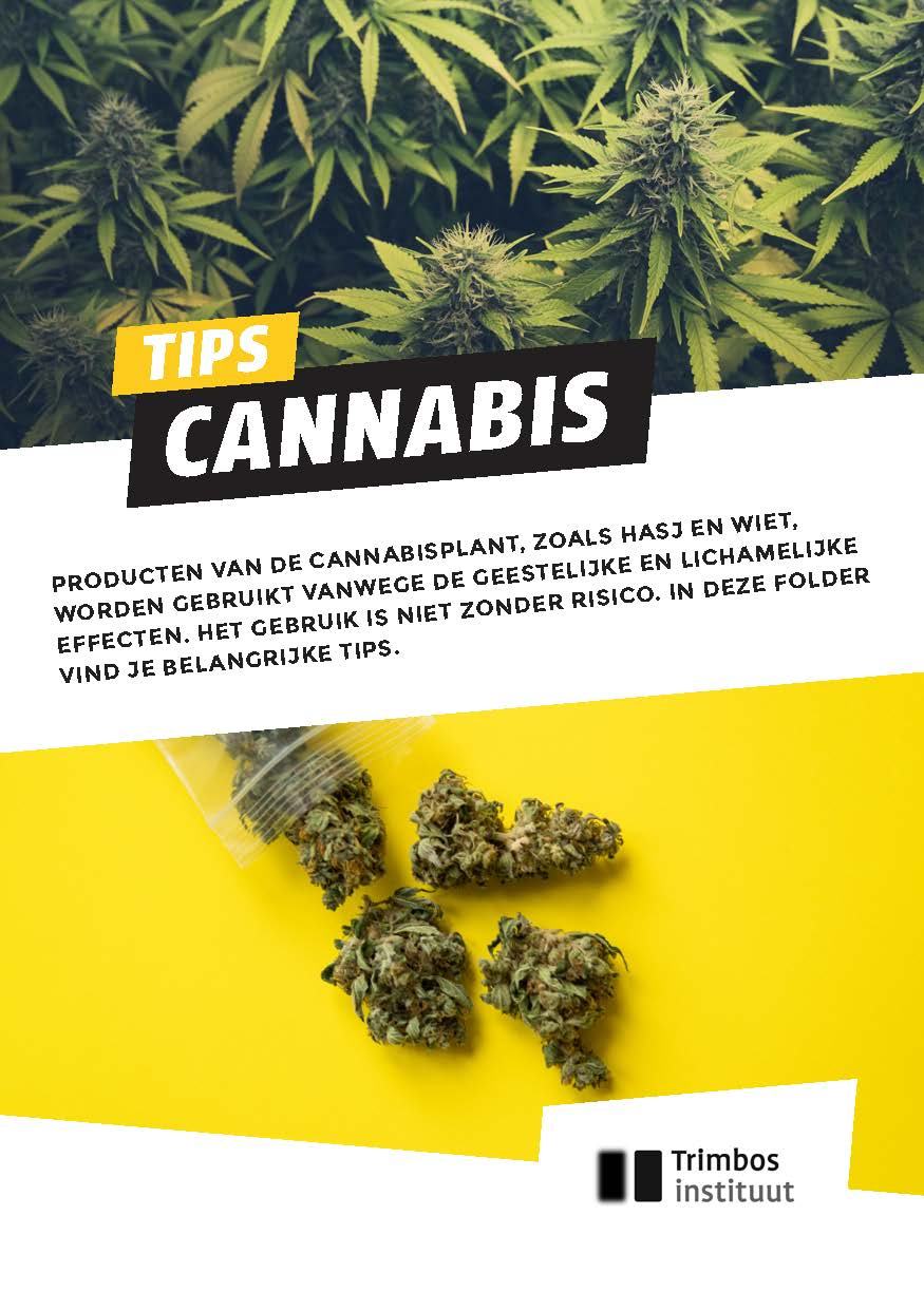 Tips Cannabis - Nederlands (Bundel 50 stuks)